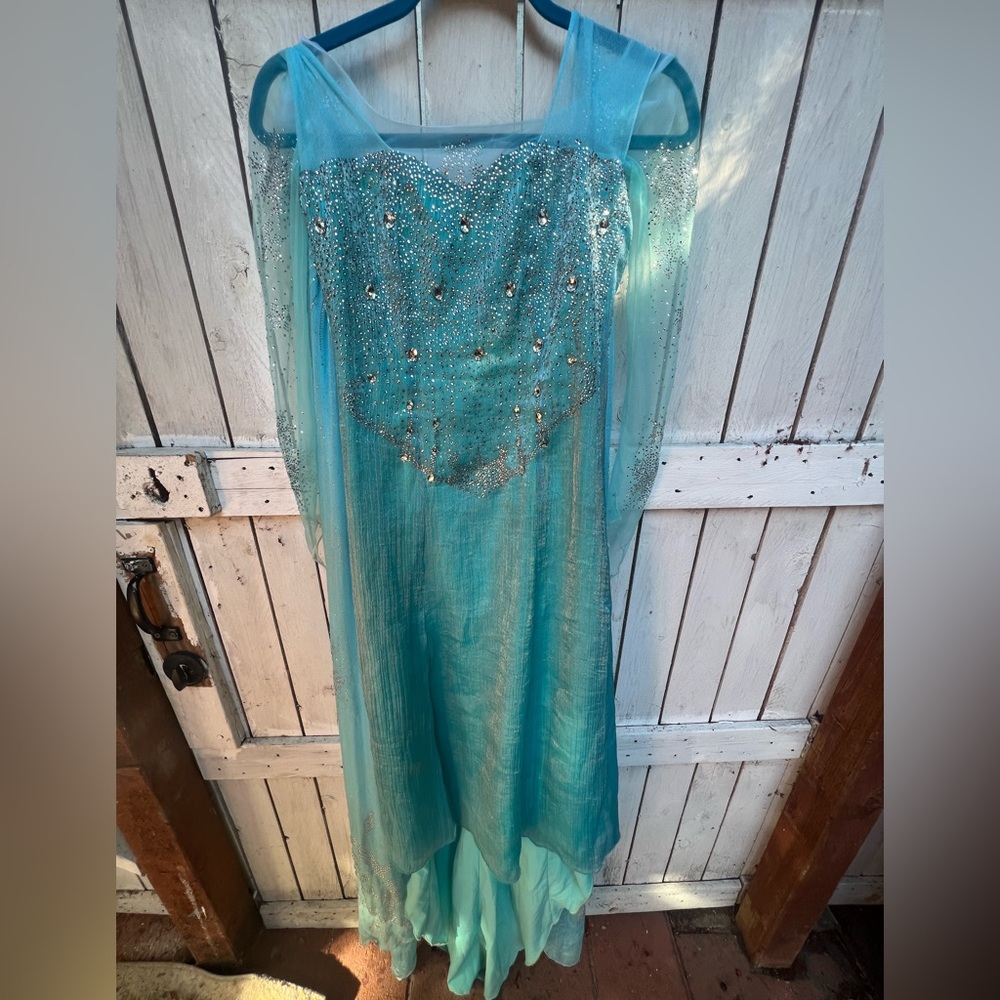 Luxe handmade Disney Elsa dress rhinestone princess gown with gown frozen winter